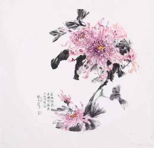 红菊圆面 柔能经霜秉刚质_"坐看云起时——水墨九十"蔡瑜国画作品