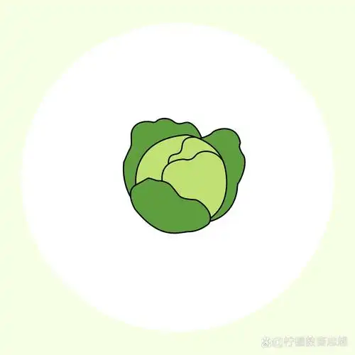 简笔画教程分享一蔬菜系列(包菜)