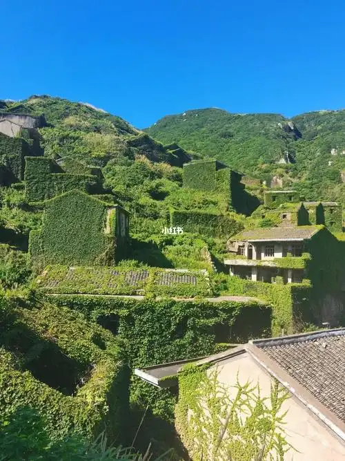 嵊山枸杞岛无人村