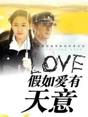 假如爱有天意