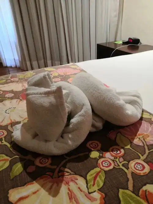 酒店给叠的毛巾造型请问各位大神这是啥