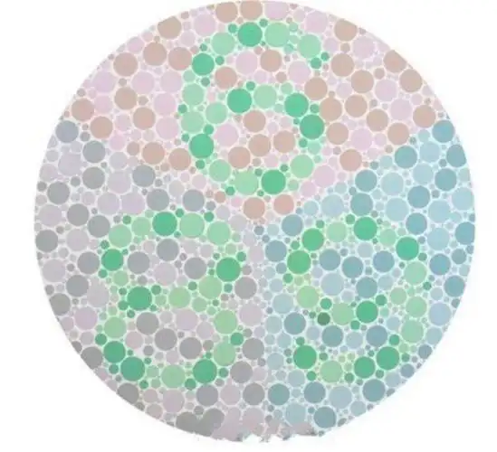 驾照必检项——色盲图你认识几个