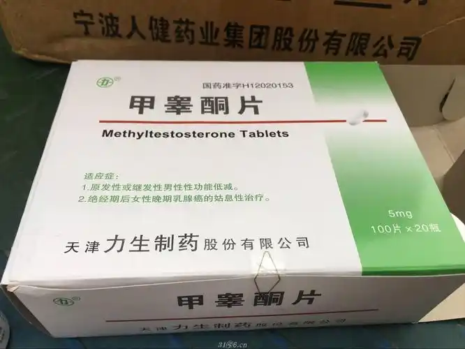 甲睾酮片