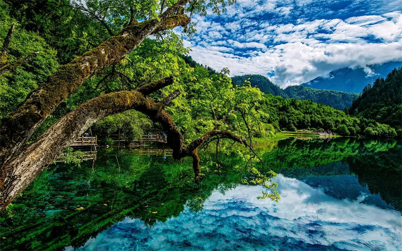 四川九寨沟夏日唯美高清桌面壁纸