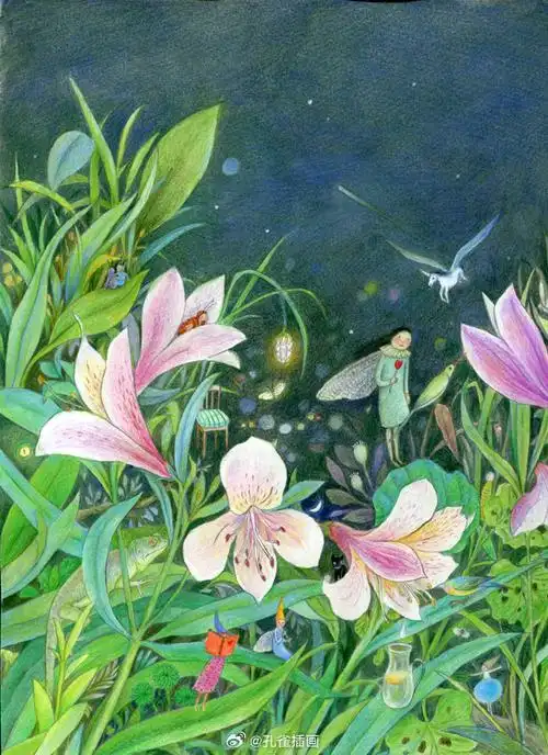 画画##彩铅画##手绘##插画