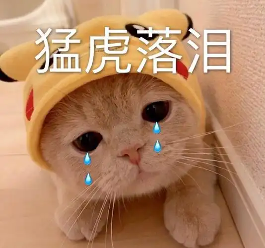 萌宠gif喵星人gif猛虎落泪gif好想哭啊gif委屈gif憨憨gif