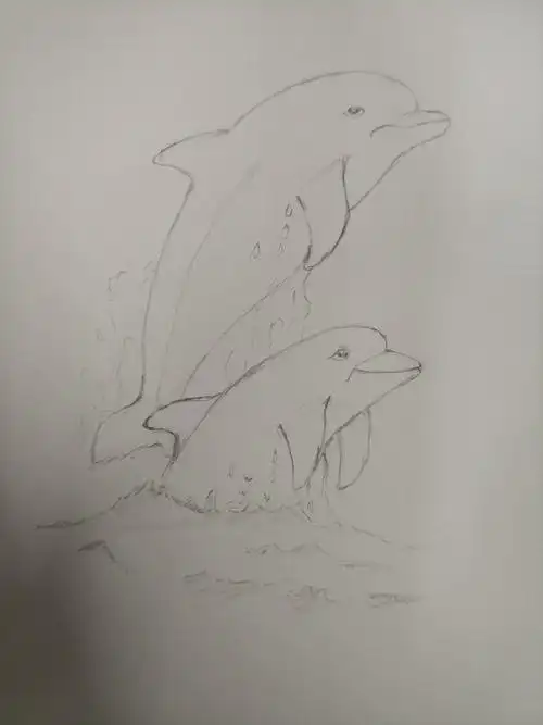 有没有前任3中的海豚画啊