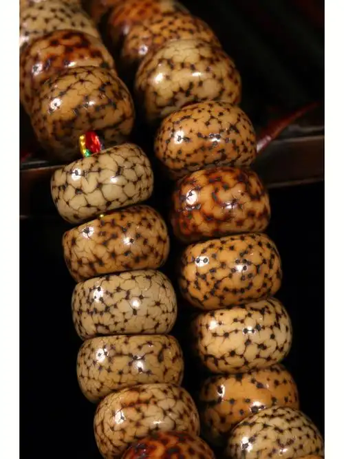 顶级高密度星月菩提