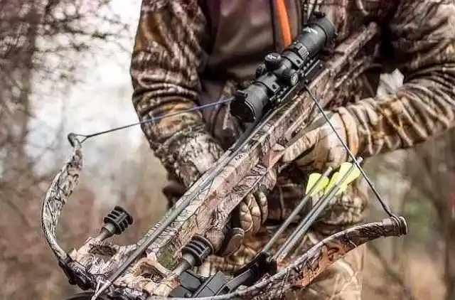 最牛弓弩第1成特种兵最爱第3价值40万一箭打碎犀牛头骨