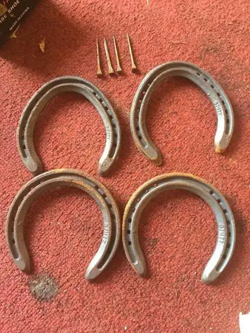 为什么驯养的马要定期换马掌,而野马不用钉掌也能跑得很快?