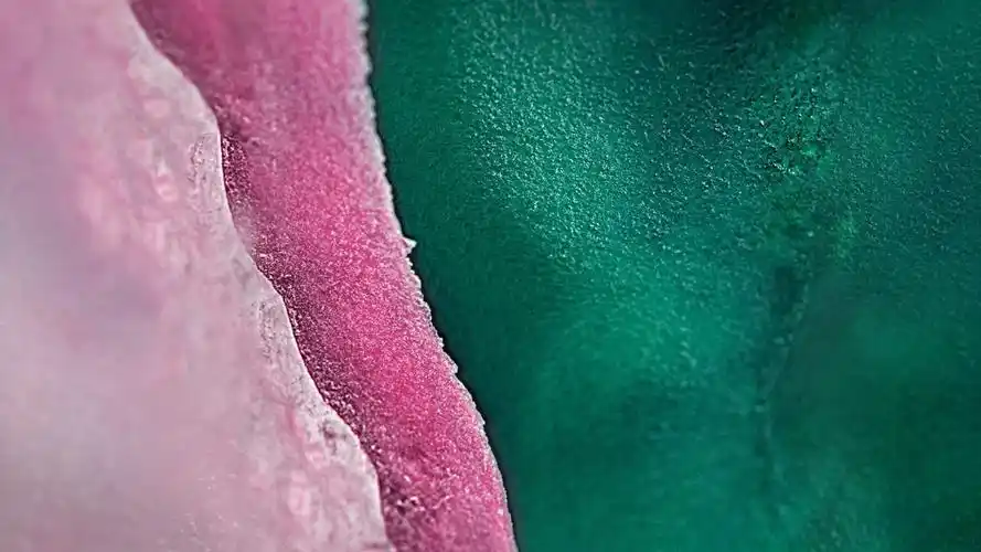 三星galaxys10桌面壁纸(8/9)