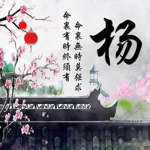 每日一姓百家姓姓氏头像之杨