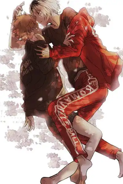 孤爪研磨×日向翔阳,研日