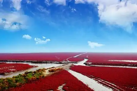 遂宁红海景区天气预报_(遂宁红海景区门票多少钱)
