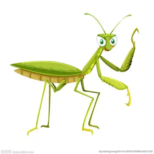 螳螂设计图__野生动物_生物世界_设计图库_昵图网nipic.com