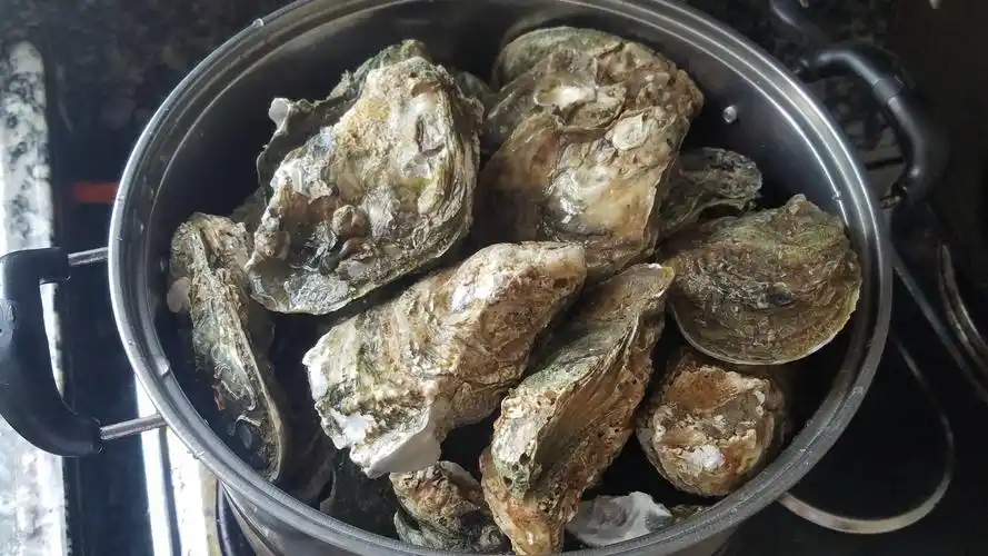 生蚝怎么做好吃又简单营养又美味的生蚝做法