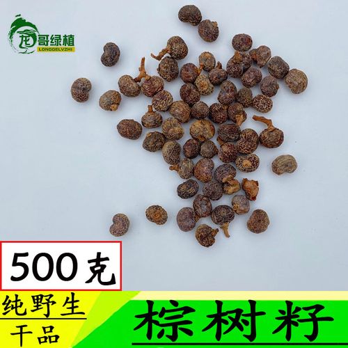 棕树籽 棕榈子棕榈果 败棕子 棕树果中药材