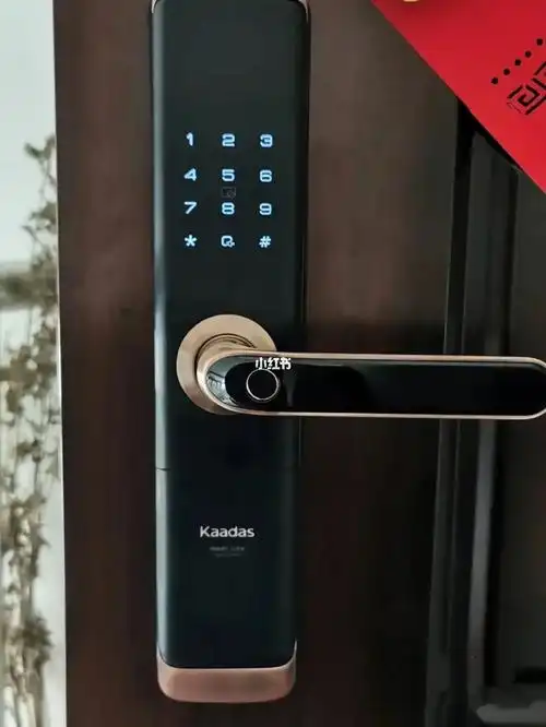 凯迪仕s110 wi-fi指纹密码智能锁安装完成73