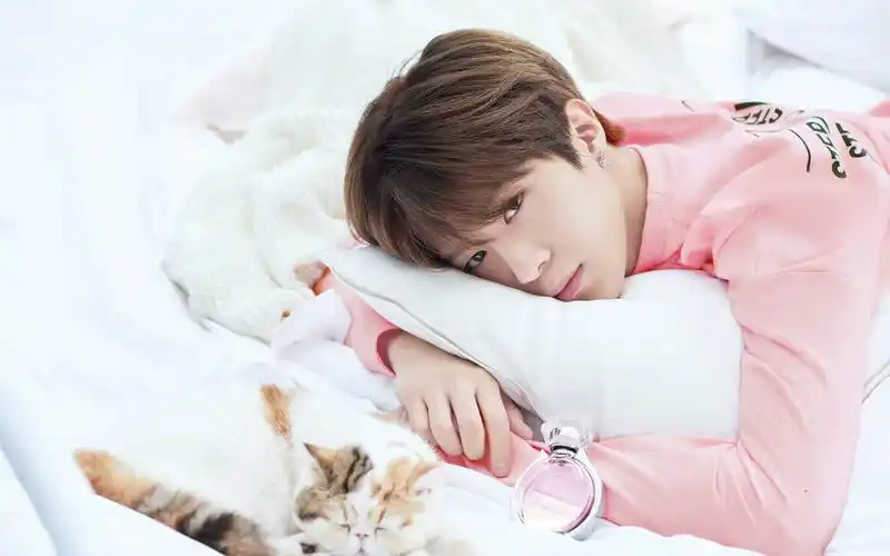 ninepercent代言帅气图片壁纸