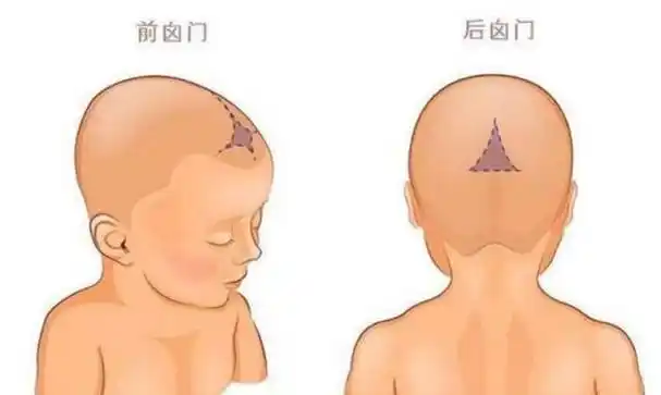 囟门=命门?关于宝宝囟门的4个秘密,大多数妈妈都不知道