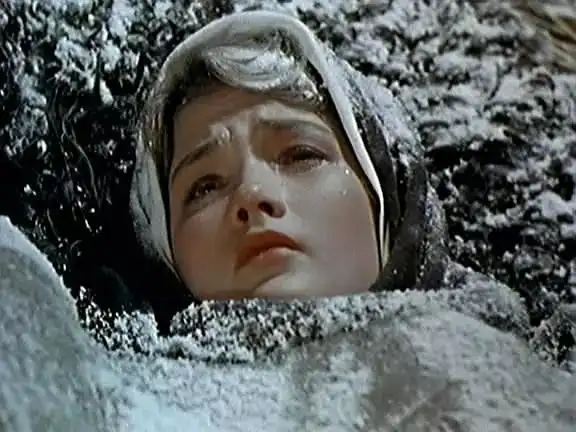 二,《静静的顿河》人物分析