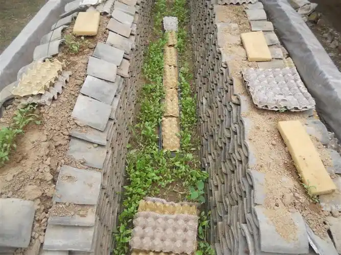 新疆能承包土地养殖蝎子吗