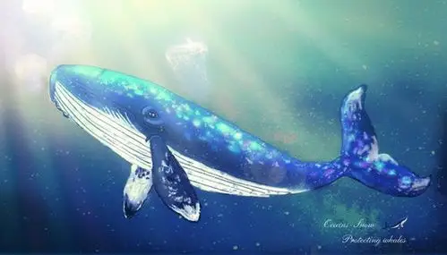蓝鲸
