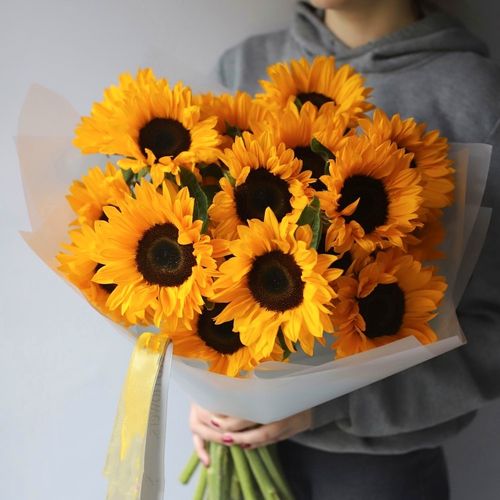 小黑熊向日葵种子孑文森特橙色黒芯葵花子可切花阳台盆栽庭院地栽