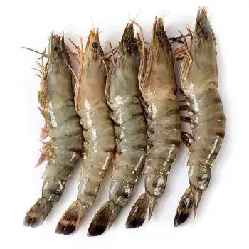 怡鲜来 越南冷冻黑虎虾 10-16尾 500-600g 进口海鲜 草虾斑节虾