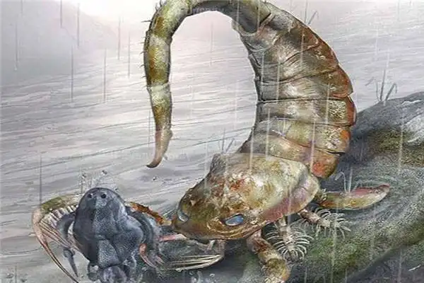 地球上10大比恐龙更可怕的史前动物好在它们都已经成了化石