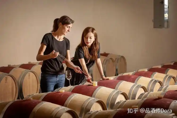 赵薇又壕买了新酒庄