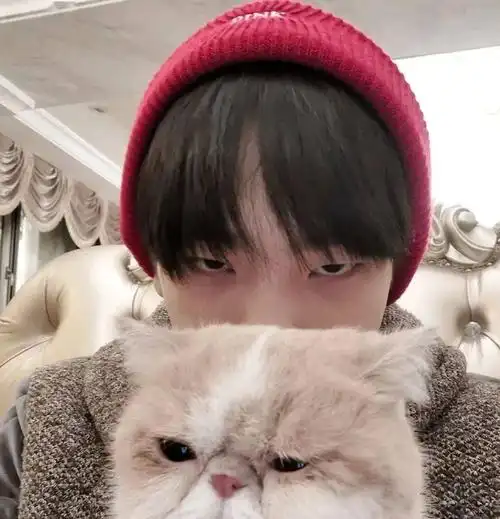 微信头像r1se周震南