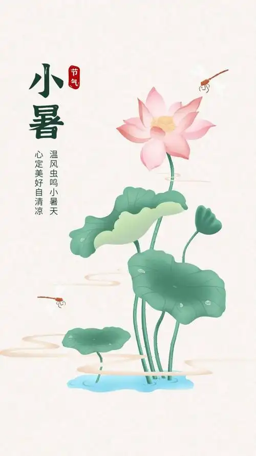 节气小暑