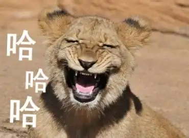 以上只为发些搞笑的动图表情包,文字部分旁友们完全可以忽略. 封图