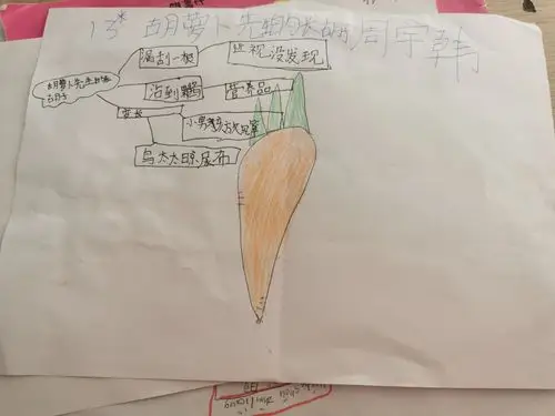 《胡萝卜先生的长胡子》——三(3)班思维导图展