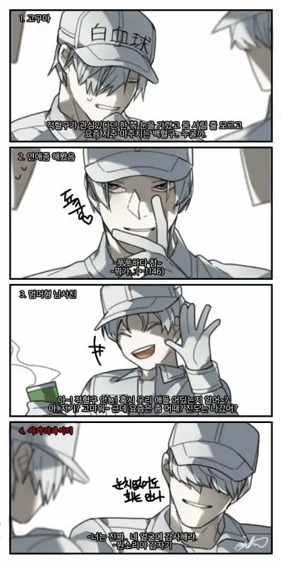 工作细胞t细胞白细胞