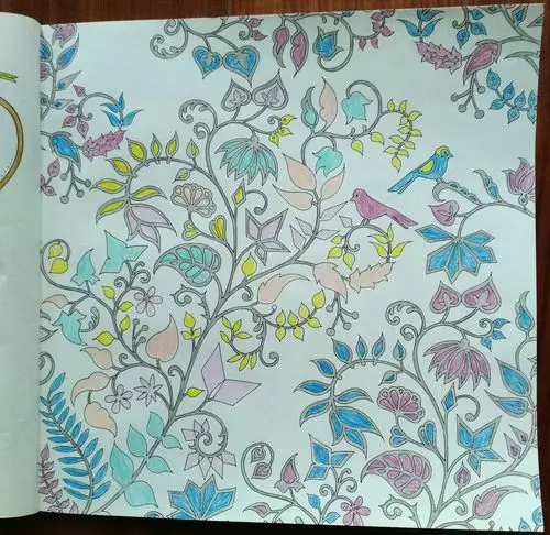 秘密花园2《魔法森林》涂者白京华