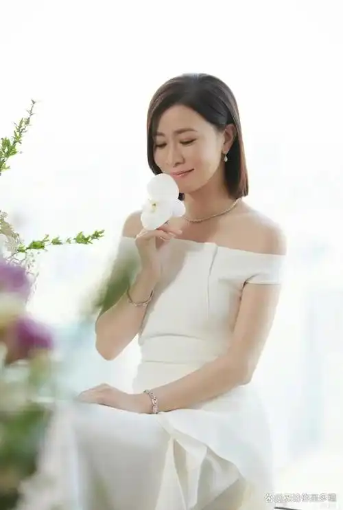 佘诗曼晒出自我最新近照引起了广大网友的关注与热议.