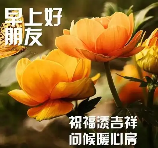 8张最新冬日别致的早上好图片唯美带字温馨 今日健康快乐幸福吉祥早上