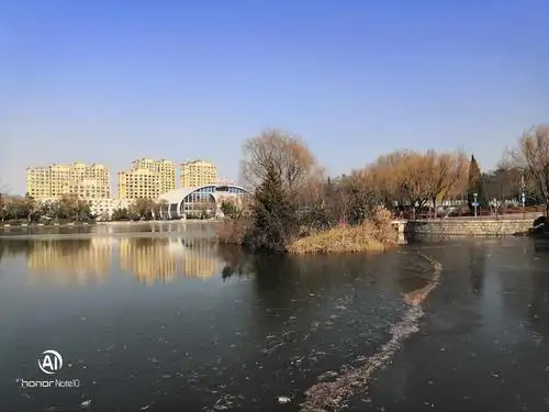 李村公园湖,有游客告知,湖水是从河里抽进来的.