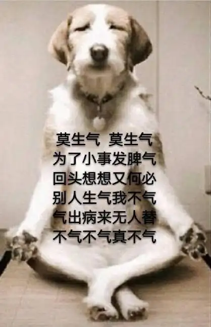 为了小事发脾气,回头想想又何必.别人生气我不气,气出病来无人替.