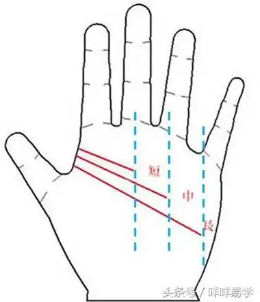 「手相」智慧线看一个人的头脑,想知道自己的智慧线好不好?只有三步.