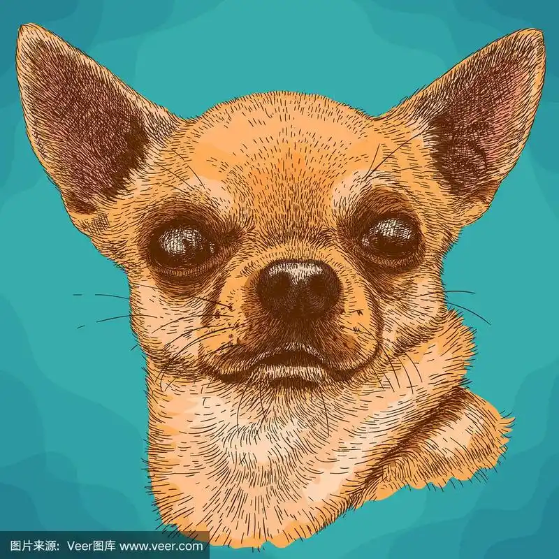 复古风格的吉娃娃雕刻插图