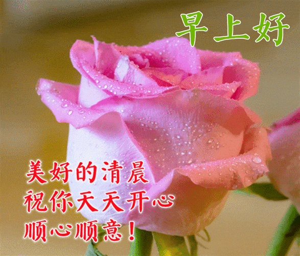 4月20日特漂亮早上好动态表情图片大全,早晨好动图美图大全_生活_朋友