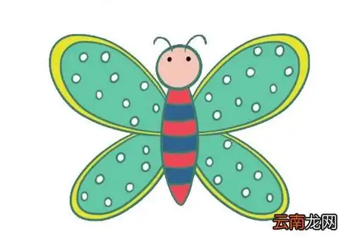 彩色蝴蝶的简笔画