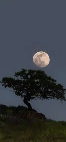 丧系句子‖感情就到这里结束,我选尊严