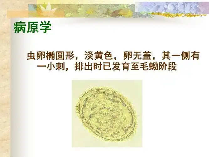 日本血吸虫病ppt