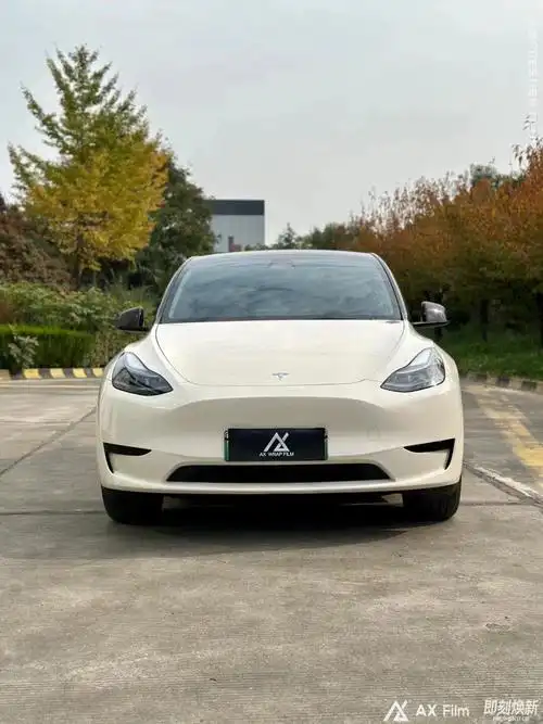 特斯拉model y ax®胡椒白_model y社区_易车社区