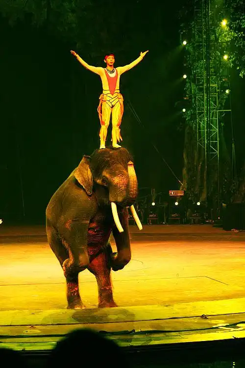 现场直播——长隆国际马戏团精彩表演——第2季,走过路过别错过,错过