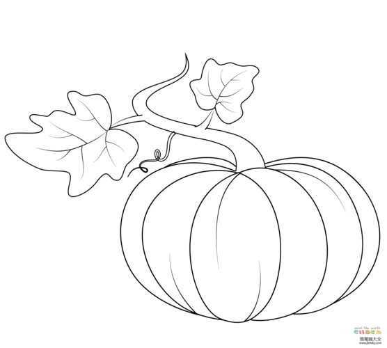 有叶子的南瓜_蔬菜简笔画-简笔画大全
